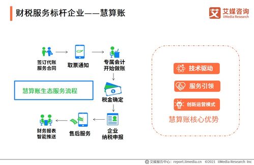 2021上半年中國(guó)財(cái)稅類企業(yè)服務(wù)專題研究報(bào)告 聚焦成都信息技術(shù)咨詢服務(wù)發(fā)展
